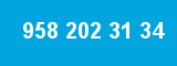 958 202 31 34